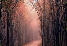 C7娱乐官网:8小时雨战上赛!首次驾驶保时捷911 GT3 Cup.