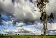 一场127-134让西部彻底乱了!湖人坐稳第4,快船勇士坐收渔利.