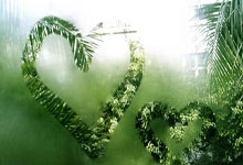 惊险逆转!张帅组合晋级澳网女双32强央视新闻客户端.